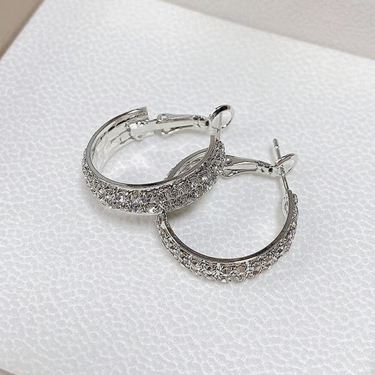 🔥Sparkle Small Hoop Earrings