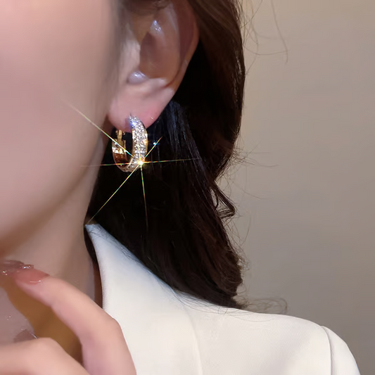 🔥Sparkle Small Hoop Earrings